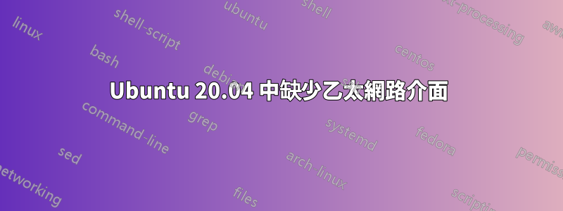 Ubuntu 20.04 中缺少乙太網路介面
