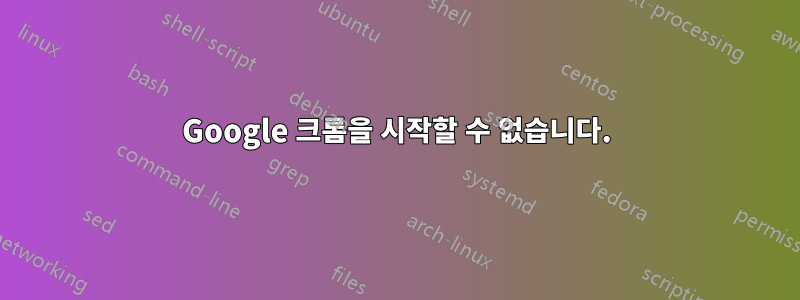 Google 크롬을 시작할 수 없습니다.