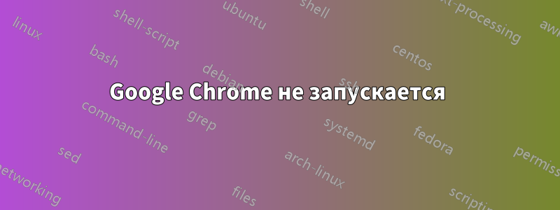 Google Chrome не запускается