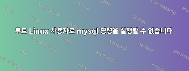 루트 Linux 사용자로 mysql 명령을 실행할 수 없습니다