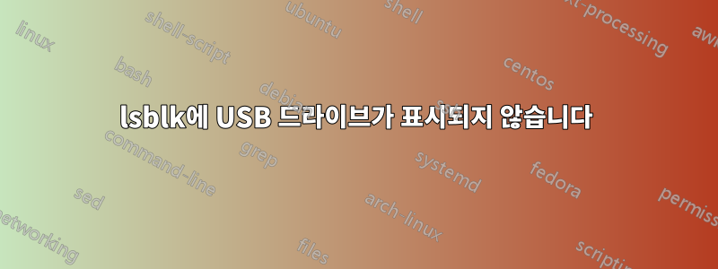 lsblk에 USB 드라이브가 표시되지 않습니다