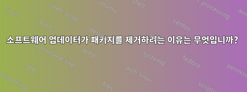 소프트웨어 업데이터가 패키지를 제거하려는 이유는 무엇입니까?