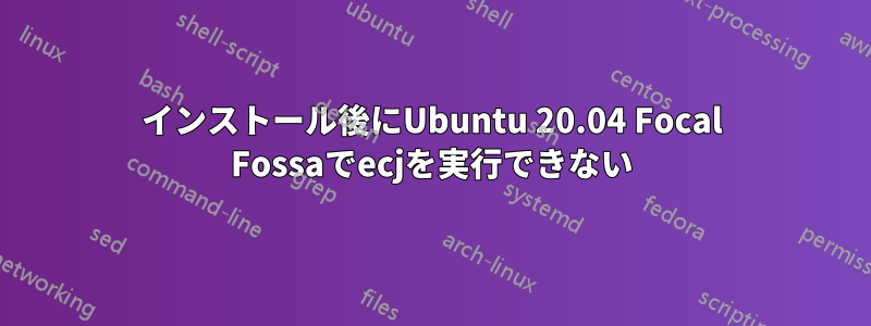 インストール後にUbuntu 20.04 Focal Fossaでecjを実行できない