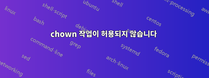 chown 작업이 허용되지 않습니다