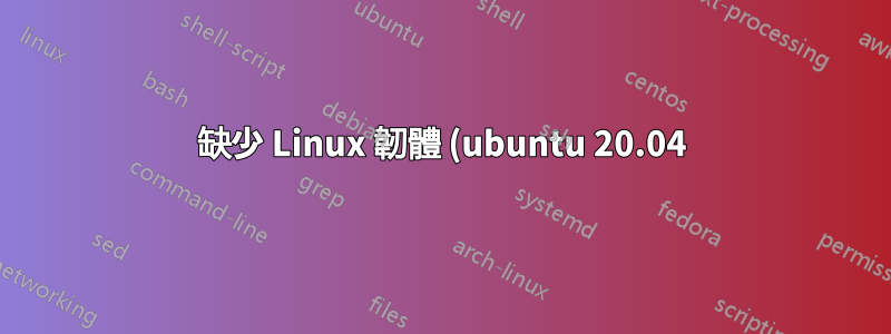 缺少 Linux 韌體 (ubuntu 20.04)