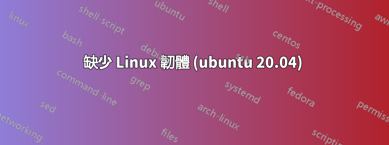 缺少 Linux 韌體 (ubuntu 20.04)