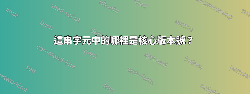 這串字元中的哪裡是核心版本號？