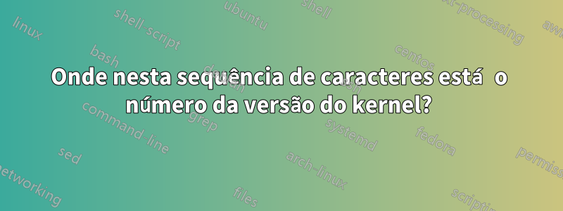 Onde nesta sequência de caracteres está o número da versão do kernel?