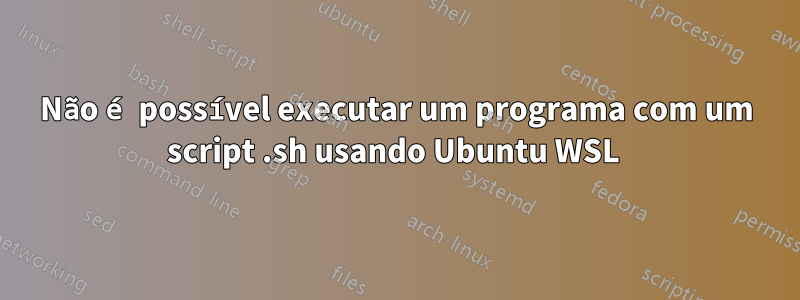 Não é possível executar um programa com um script .sh usando Ubuntu WSL 