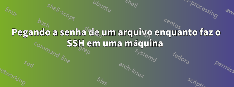 Pegando a senha de um arquivo enquanto faz o SSH em uma máquina 