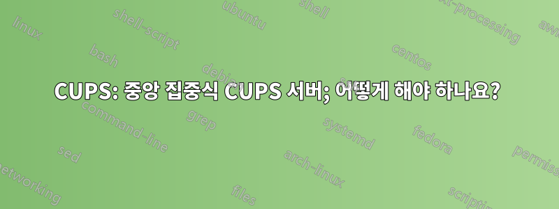 CUPS: 중앙 집중식 CUPS 서버; 어떻게 해야 하나요?