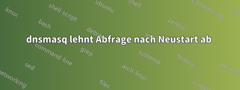dnsmasq lehnt Abfrage nach Neustart ab