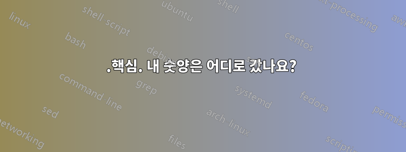 .핵심. 내 숫양은 어디로 갔나요?