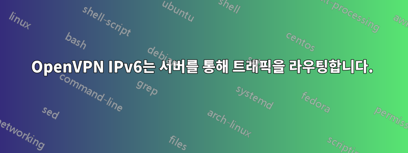 OpenVPN IPv6는 서버를 통해 트래픽을 라우팅합니다.