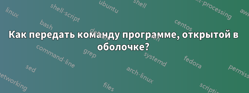 Как передать команду программе, открытой в оболочке?