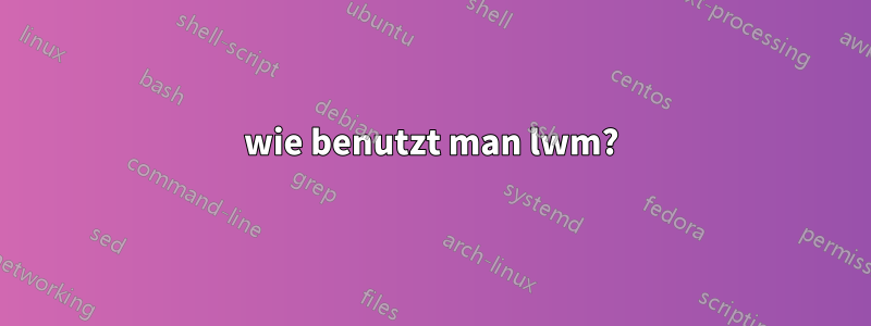 wie benutzt man lwm?