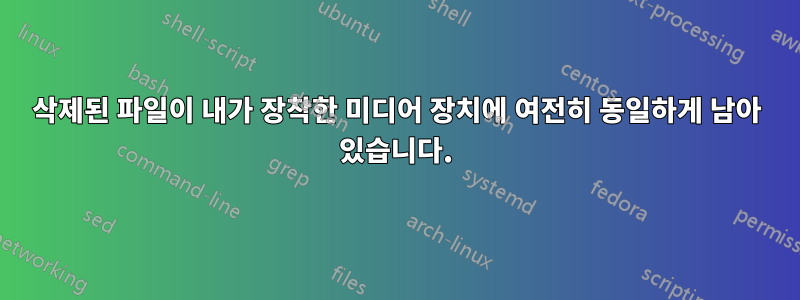 삭제된 파일이 내가 장착한 미디어 장치에 여전히 동일하게 남아 있습니다.