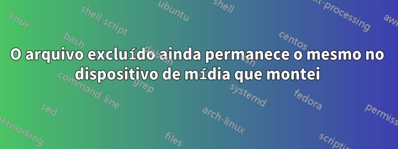 O arquivo excluído ainda permanece o mesmo no dispositivo de mídia que montei
