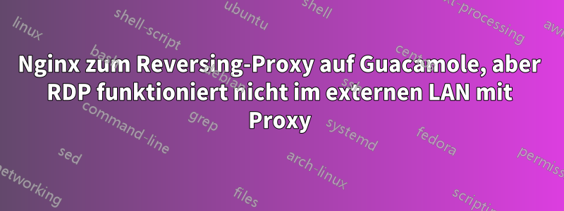Nginx zum Reversing-Proxy auf Guacamole, aber RDP funktioniert nicht im externen LAN mit Proxy