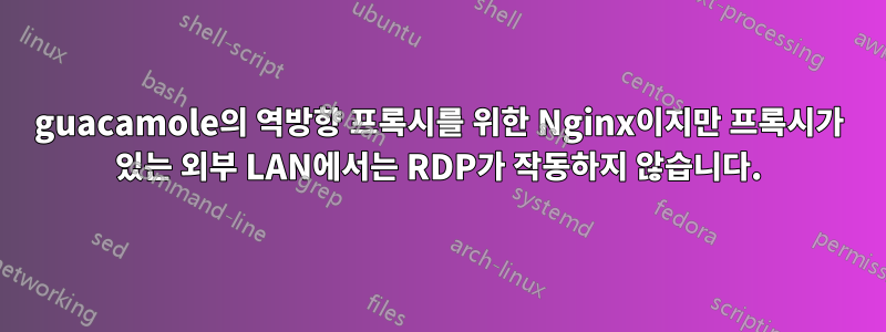 guacamole의 역방향 프록시를 위한 Nginx이지만 프록시가 있는 외부 LAN에서는 RDP가 작동하지 않습니다.