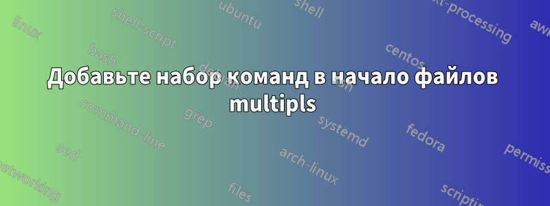 Добавьте набор команд в начало файлов multipls