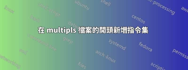 在 multipls 檔案的開頭新增指令集