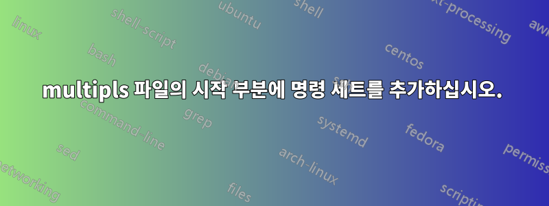 multipls 파일의 시작 부분에 명령 세트를 추가하십시오.