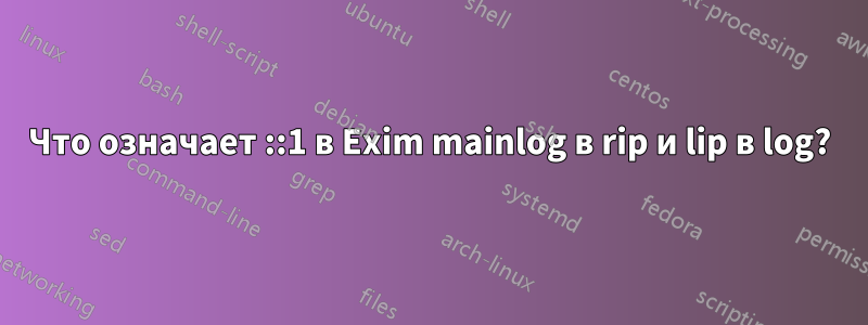 Что означает ::1 в Exim mainlog в rip и lip в log?