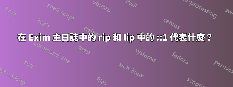 在 Exim 主日誌中的 rip 和 lip 中的 ::1 代表什麼？