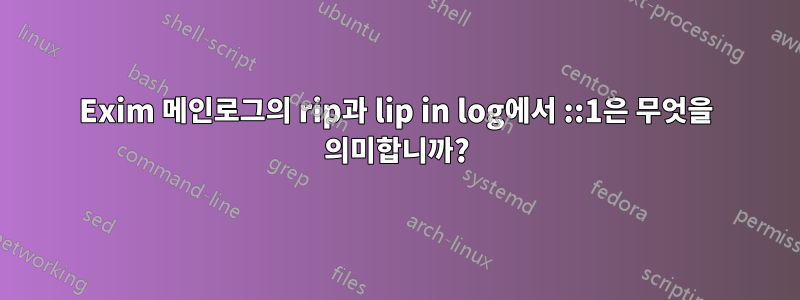 Exim 메인로그의 rip과 lip in log에서 ::1은 무엇을 의미합니까?