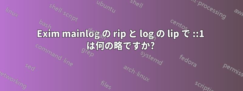 Exim mainlog の rip と log の lip で ::1 は何の略ですか?