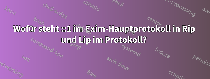Wofür steht ::1 im Exim-Hauptprotokoll in Rip und Lip im Protokoll?