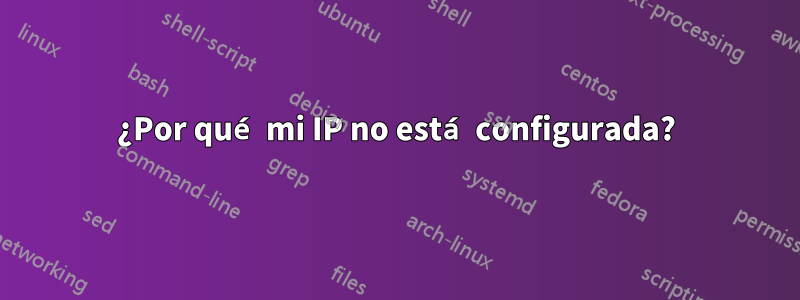 ¿Por qué mi IP no está configurada?