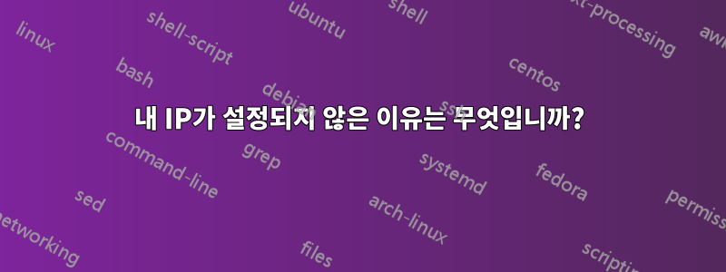 내 IP가 설정되지 않은 이유는 무엇입니까?