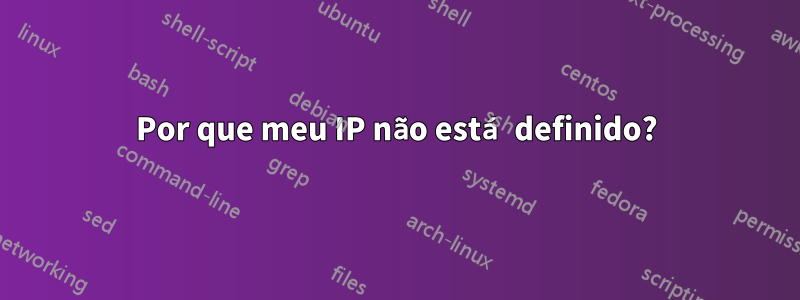 Por que meu IP não está definido?
