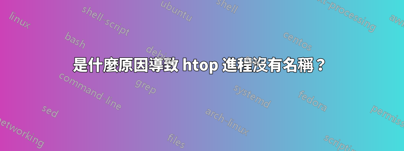 是什麼原因導致 htop 進程沒有名稱？