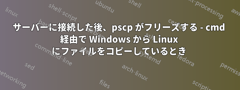 サーバーに接続した後、pscp がフリーズする - cmd 経由で Wi​​ndows から Linux にファイルをコピーしているとき