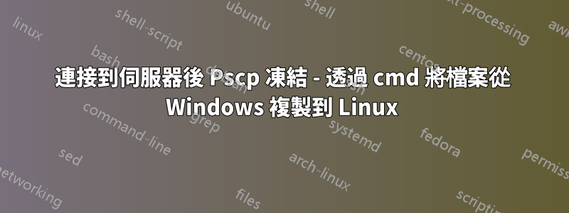 連接到伺服器後 Pscp 凍結 - 透過 cmd 將檔案從 Windows 複製到 Linux