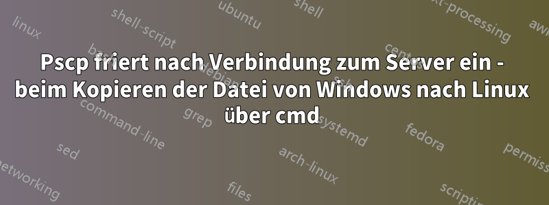 Pscp friert nach Verbindung zum Server ein - beim Kopieren der Datei von Windows nach Linux über cmd