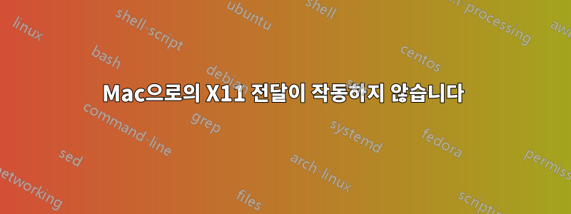 Mac으로의 X11 전달이 작동하지 않습니다