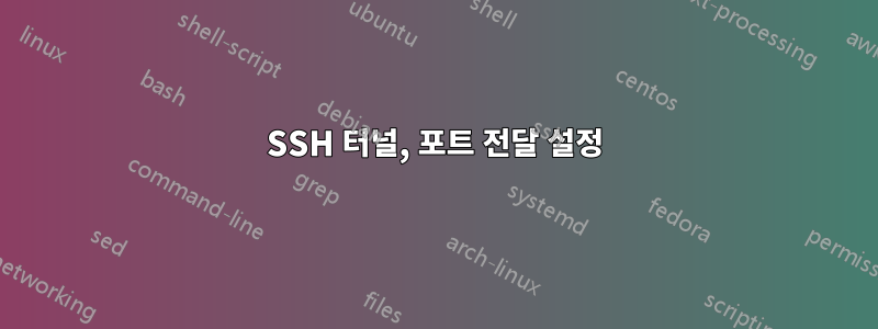 SSH 터널, 포트 전달 설정
