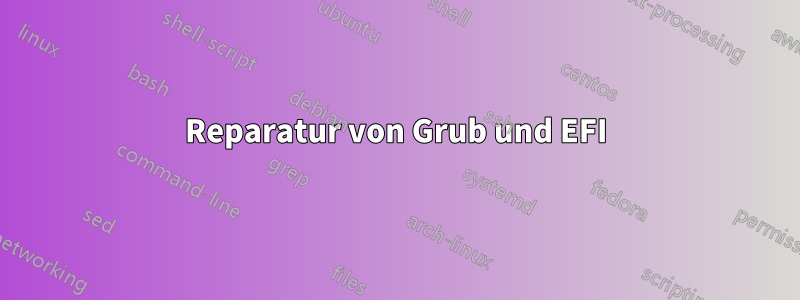 Reparatur von Grub und EFI