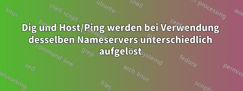 Dig und Host/Ping werden bei Verwendung desselben Nameservers unterschiedlich aufgelöst