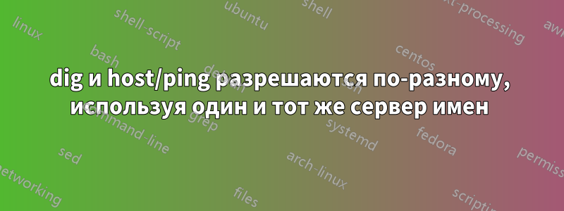 dig и host/ping разрешаются по-разному, используя один и тот же сервер имен