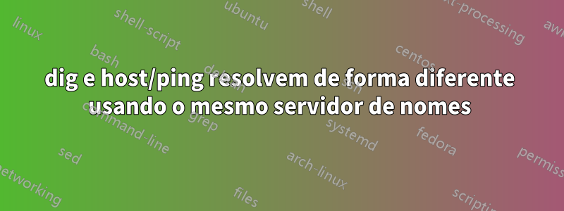 dig e host/ping resolvem de forma diferente usando o mesmo servidor de nomes