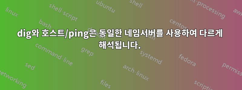dig와 호스트/ping은 동일한 네임서버를 사용하여 다르게 해석됩니다.