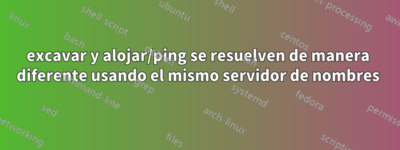 excavar y alojar/ping se resuelven de manera diferente usando el mismo servidor de nombres