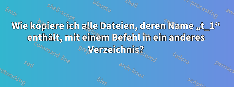 Wie kopiere ich alle Dateien, deren Name „t_1“ enthält, mit einem Befehl in ein anderes Verzeichnis?