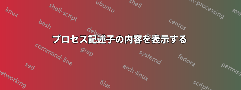 プロセス記述子の内容を表示する