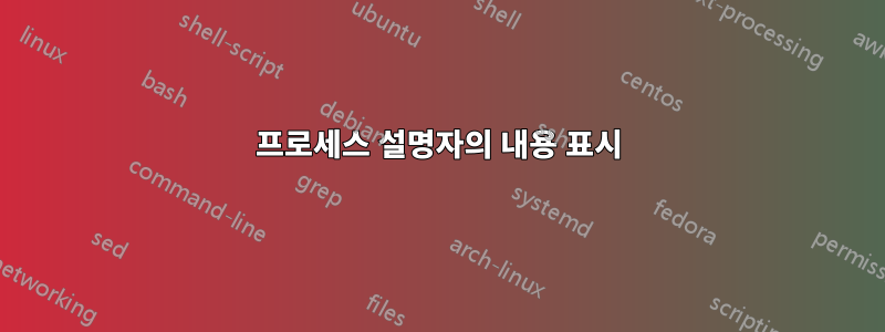 프로세스 설명자의 내용 표시